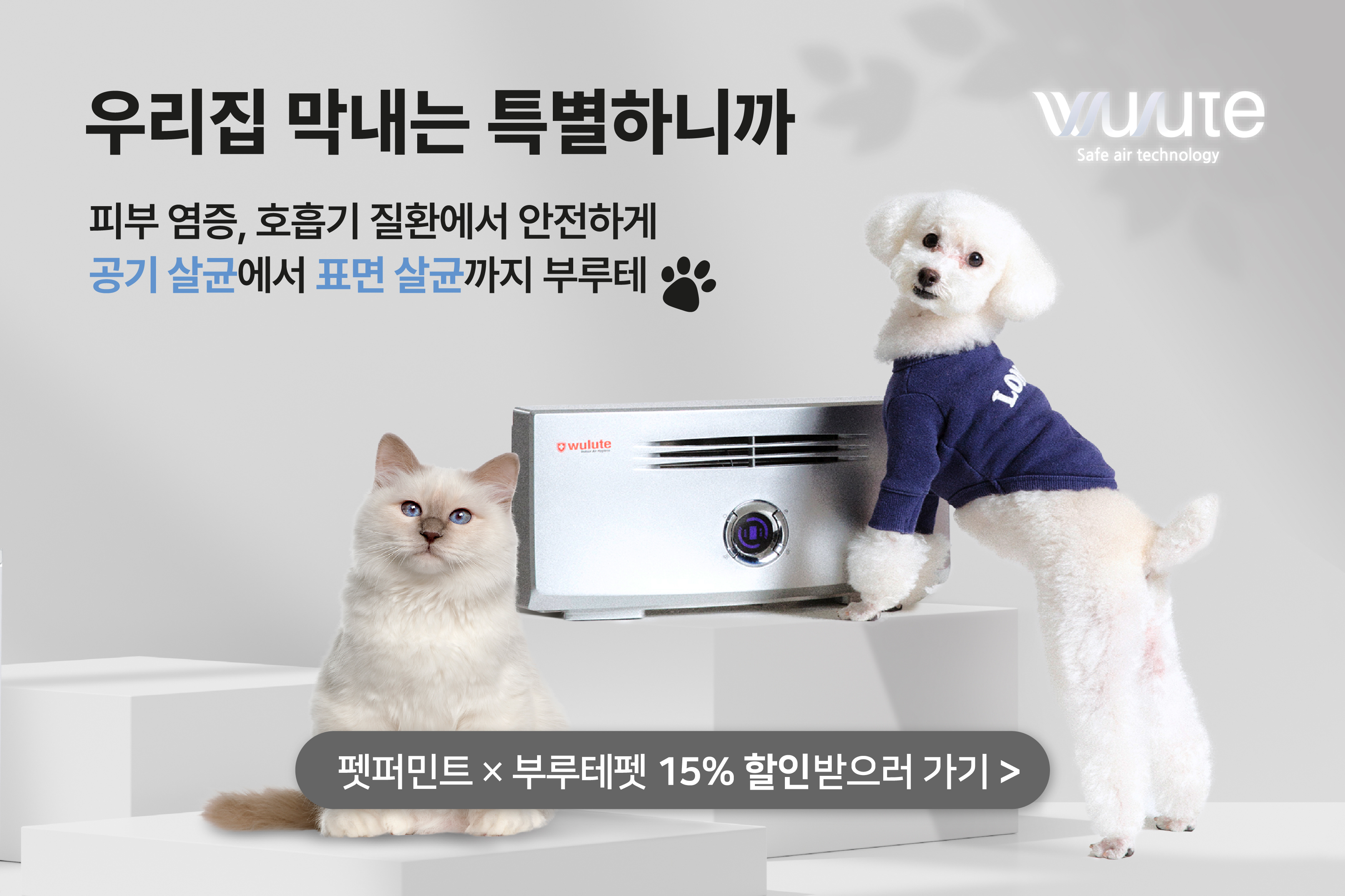 우리집 막내는 특별하니까 피부 염증, 호흡기 질환에서 안전하게 공기 살균에서 표면 살균까지 부루테 / 펫퍼민트X부루테펫 15% 할인받으러 가기>