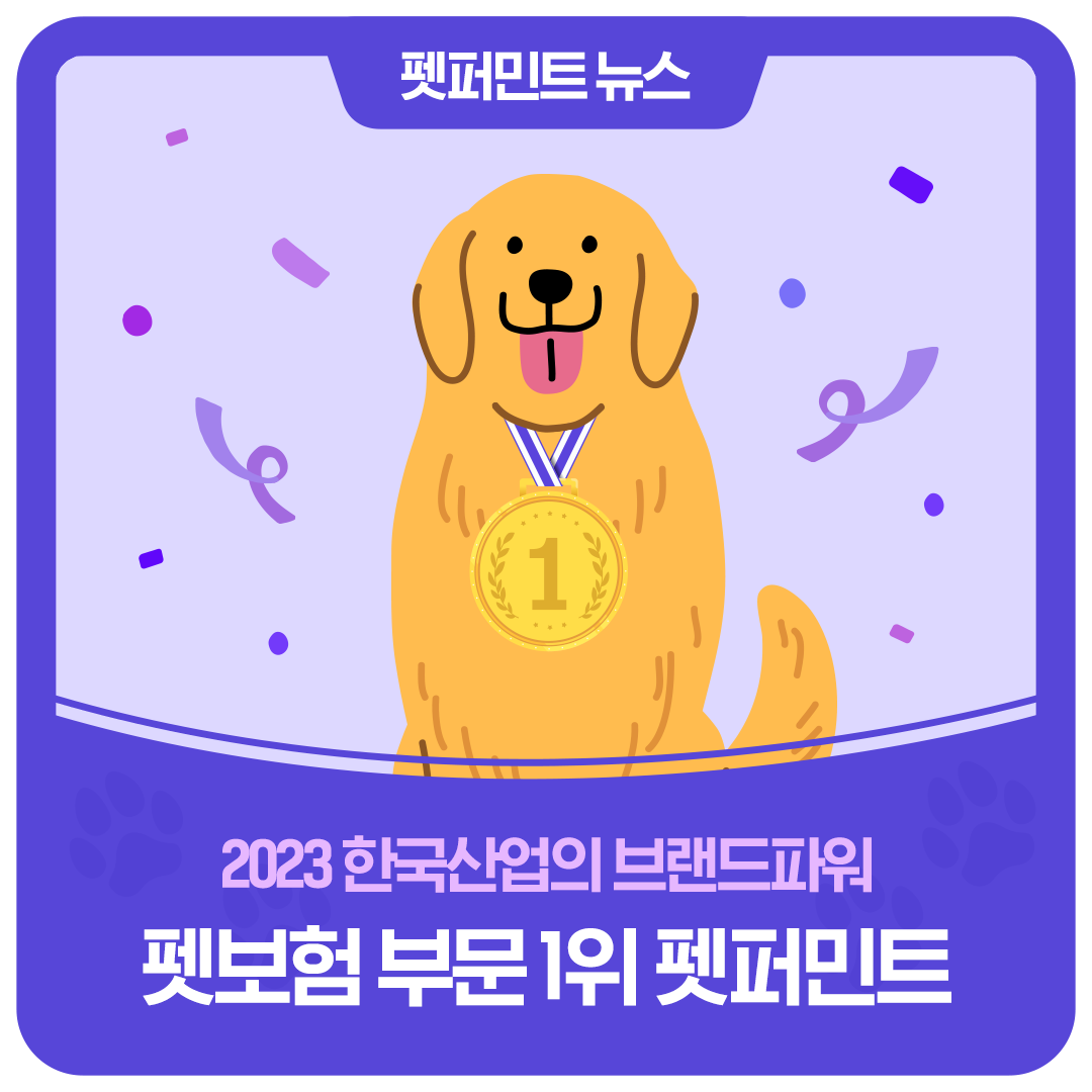 펫퍼민트 뉴스 2023 한국산업의 브랜드파워 펫보험 부문 1위 펫퍼민트