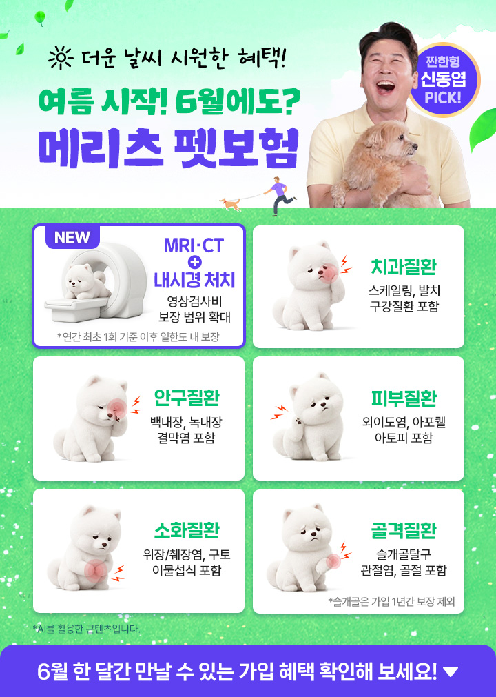 동물농장 아저씨도 추천하는 메리츠 펫보험, 6년연속 1위, 가입건수 13만건, 국내최초 현장청구, 간편가입